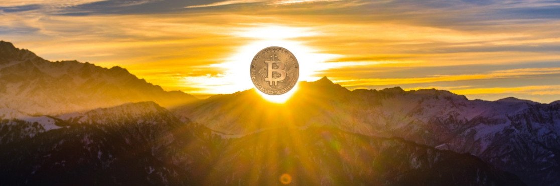 In BTC we Trust banner