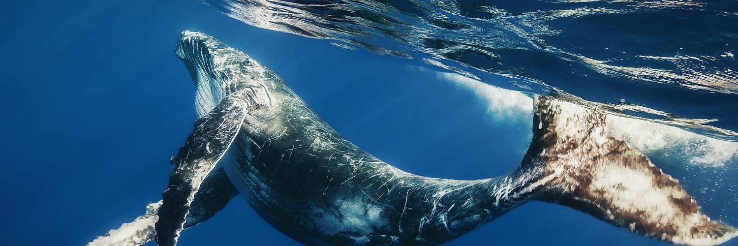 Atlanteano's profile banner image