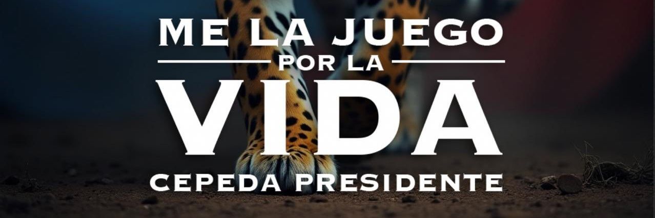 pherseux's profile banner image