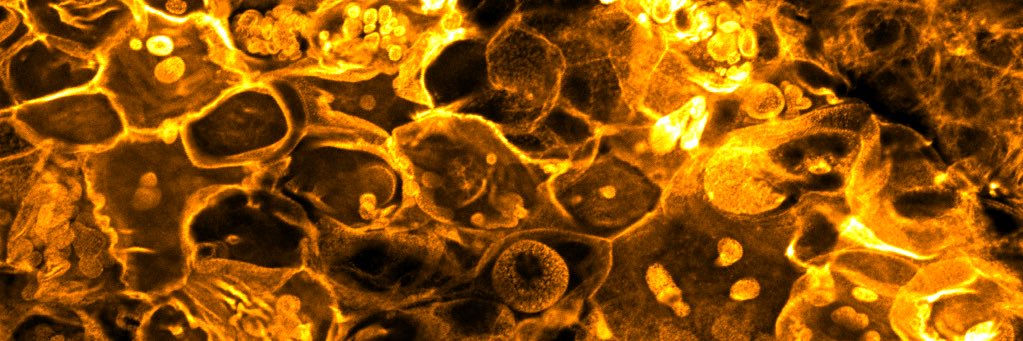 Aitor Casas-Sanchez banner