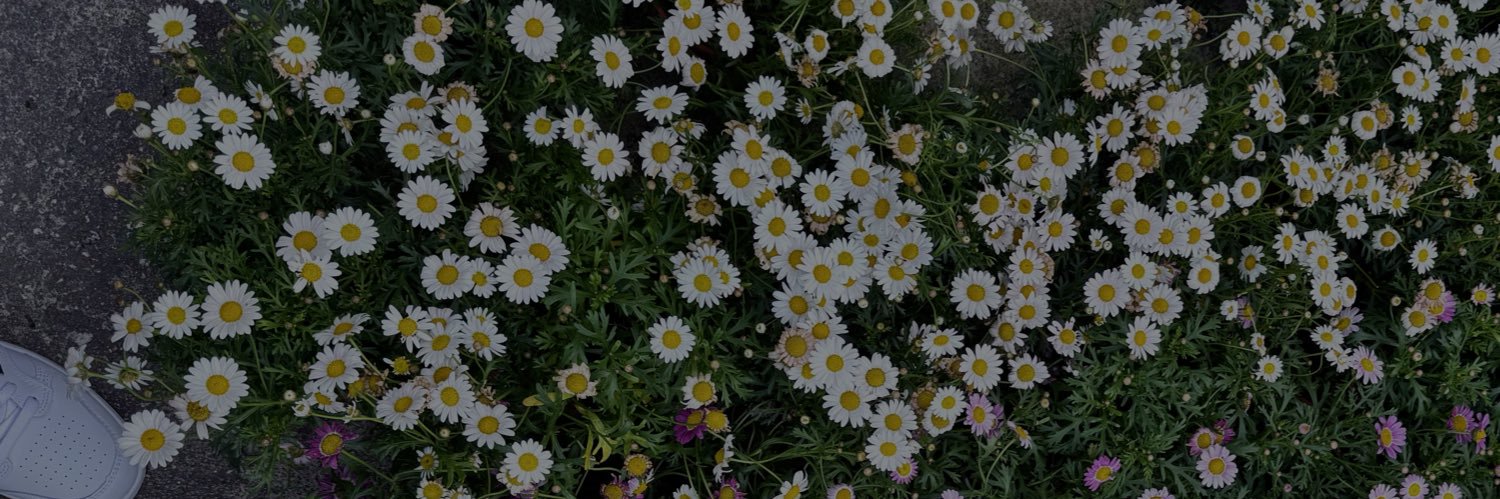 ndyazl's profile banner image