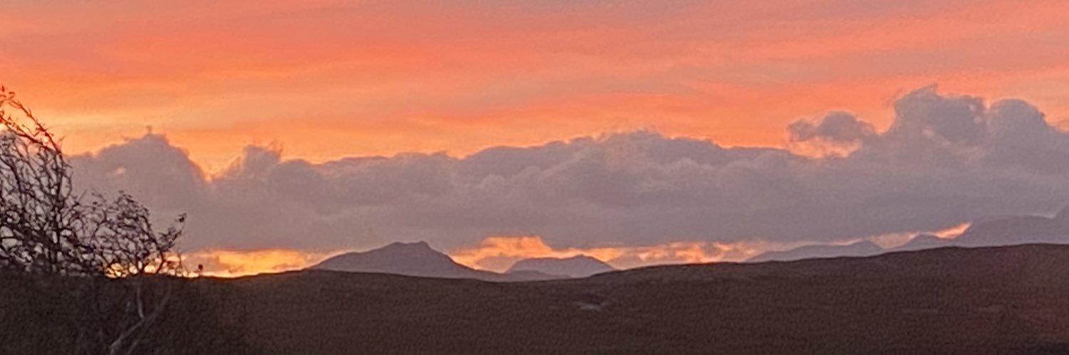 Margaret Taylor banner