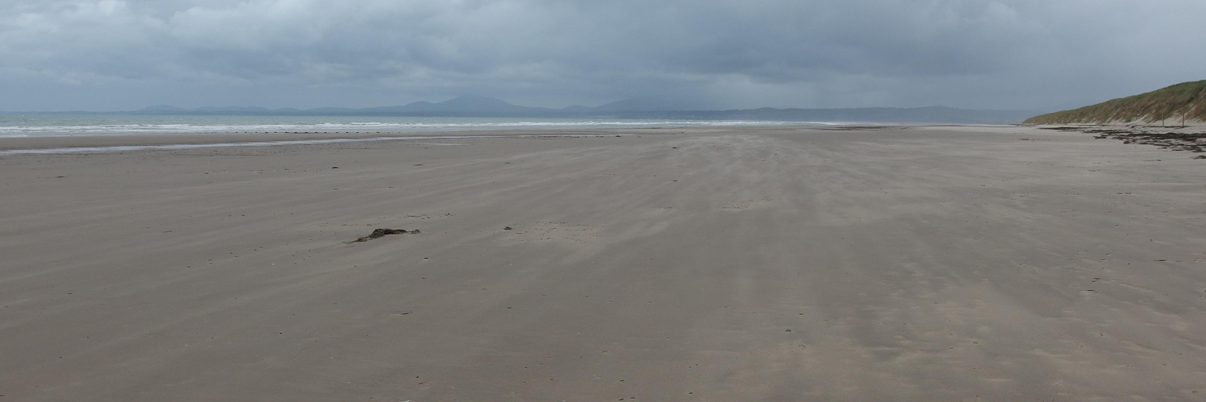 Leon McDonnell banner