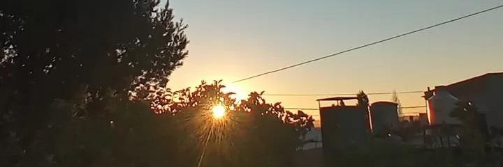 flor_aldi's profile banner image