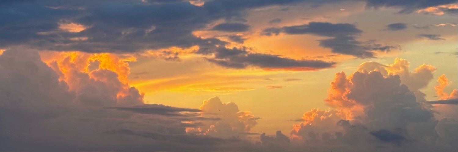 bll2403's profile banner image