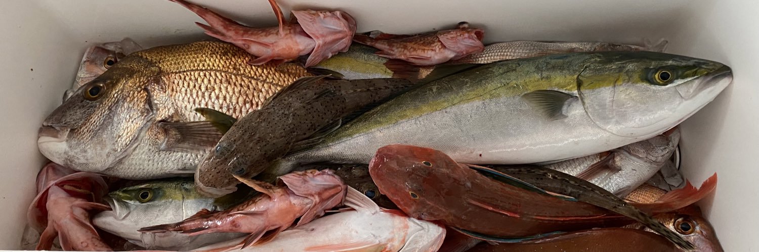 fishingIFC's profile banner image