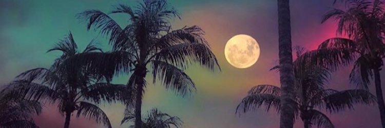LizBorrell's profile banner image