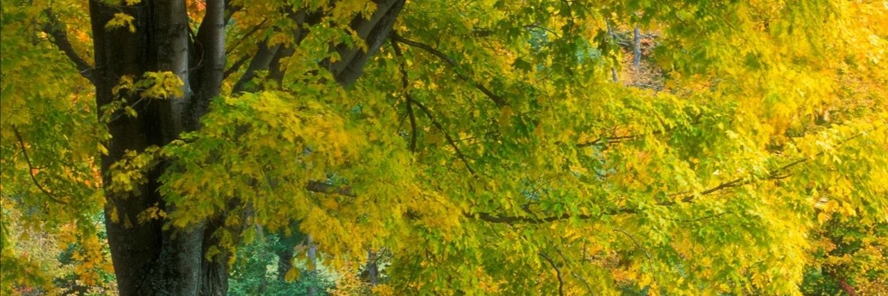 Андрей banner