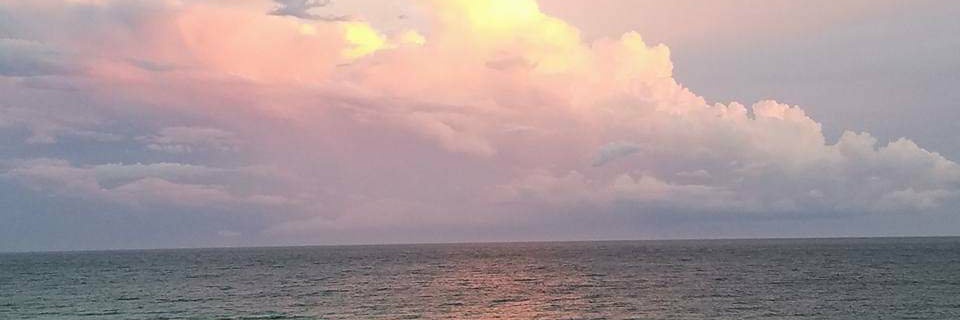 mreed9696's profile banner image
