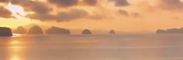 allantoons's profile banner image
