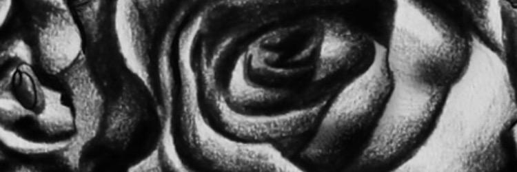 stulli95's profile banner image