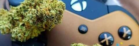 ede_mart's profile banner image