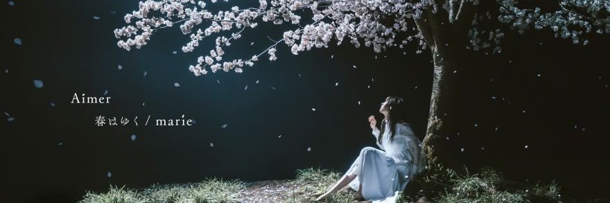 popokox's profile banner image