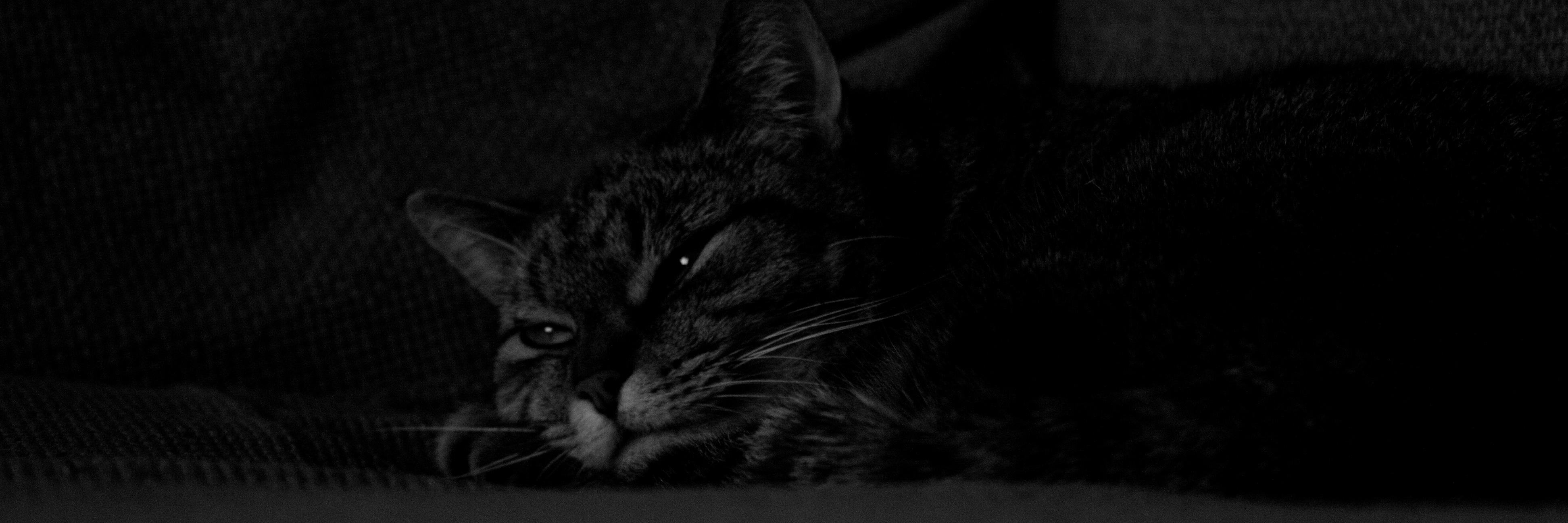 Tempted70's profile banner image
