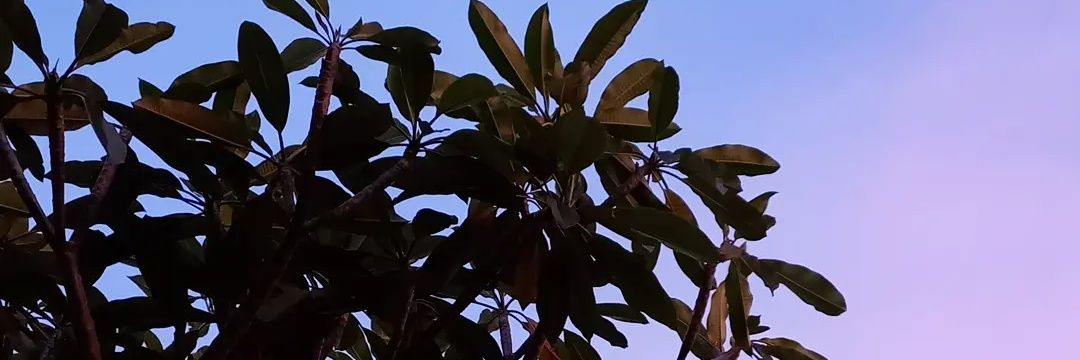 keyanna_'s profile banner image