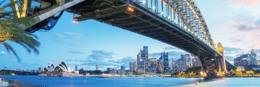 Dolphin Dynamics banner