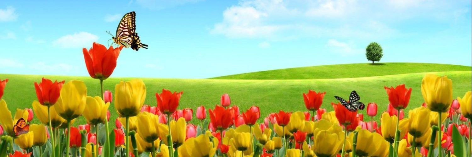 GHAM1964's profile banner image