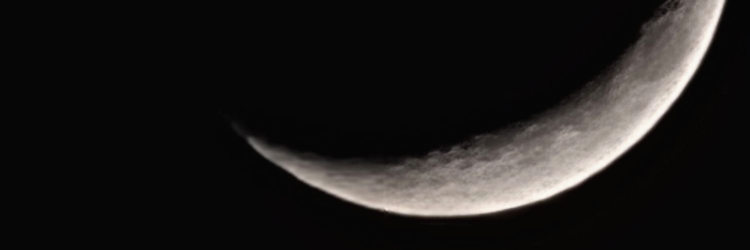 misty_partin's profile banner image