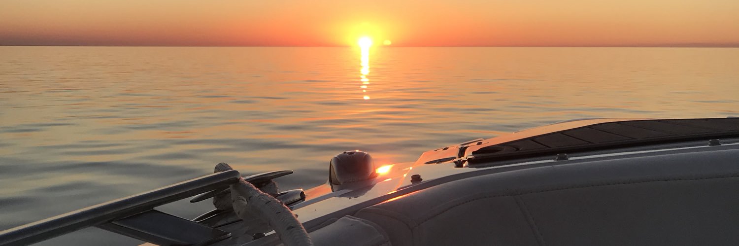 madibell13's profile banner image