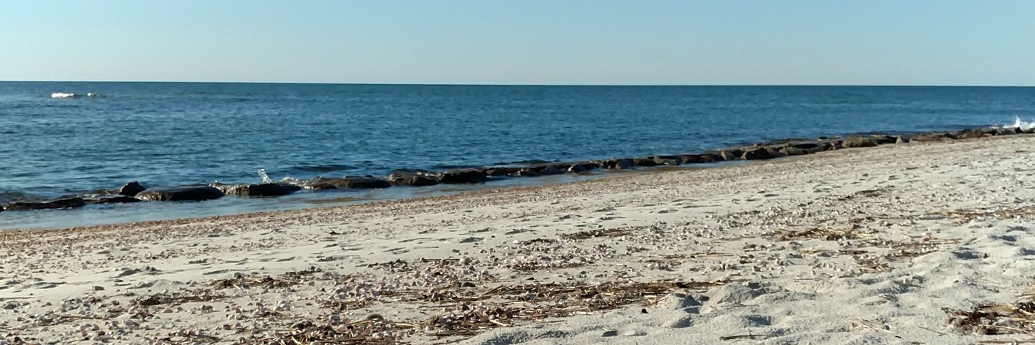 KimChilinski's profile banner image