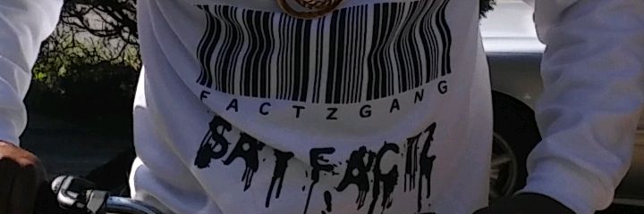 FactzGang's profile banner image