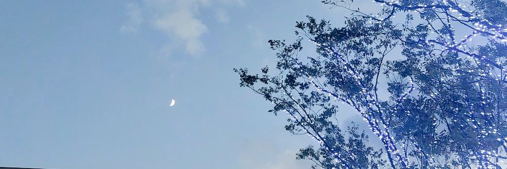 cheeco73's profile banner image