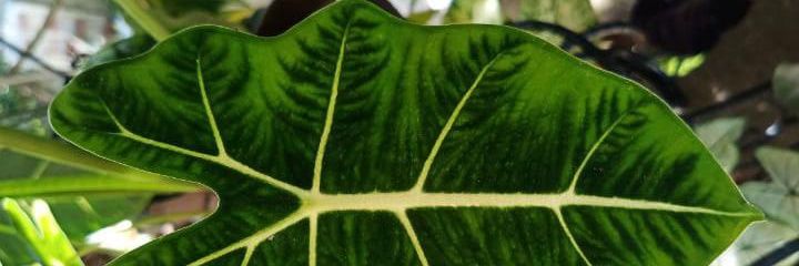 Marite_FM's profile banner image