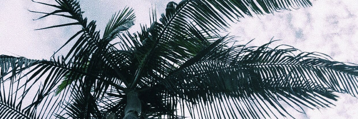 kaayyllaaa_'s profile banner image