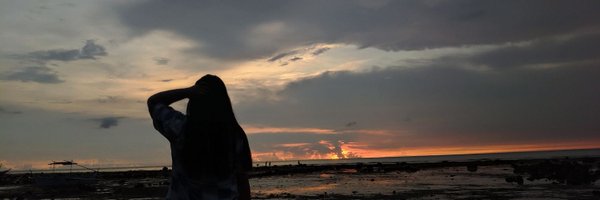 _wpdks Profile Banner