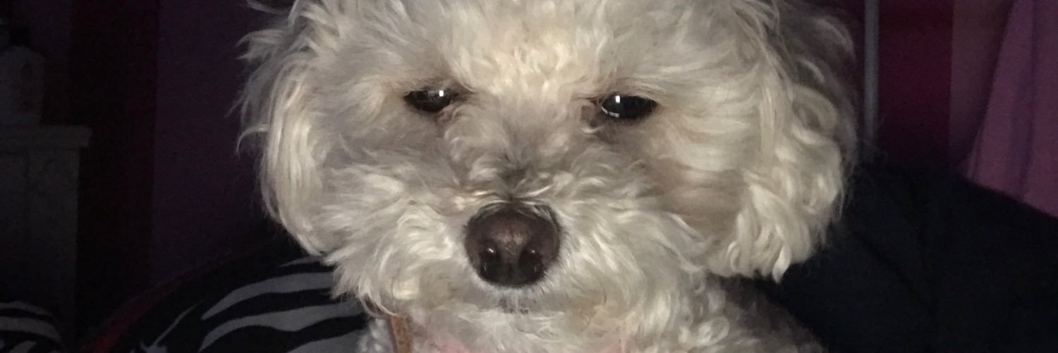 OMG_TC's profile banner image