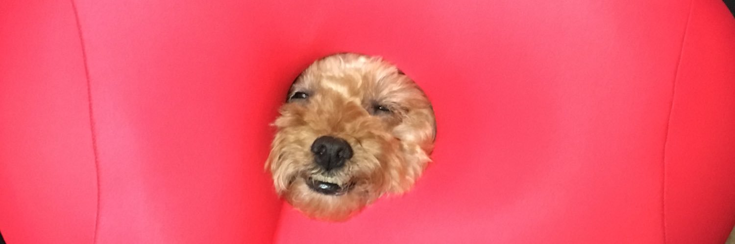 cranberry1202's profile banner image