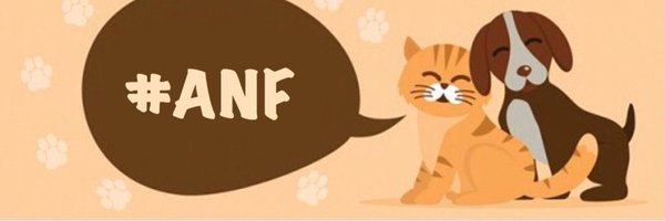 ANF! - OPEN DM Profile Banner