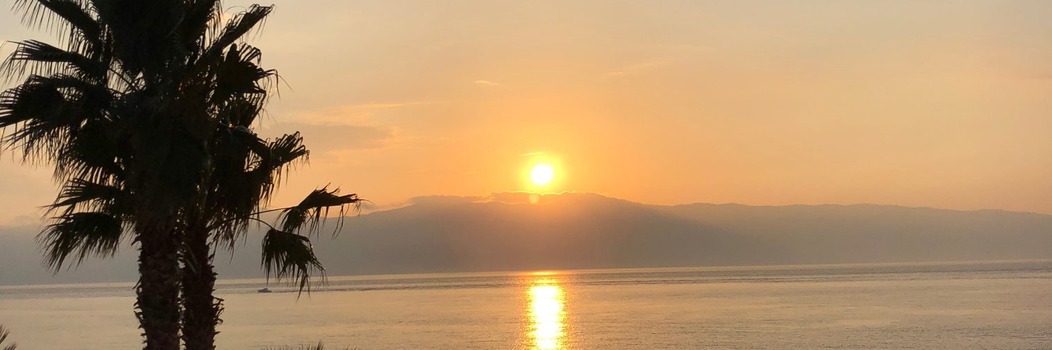 alecampolo's profile banner image