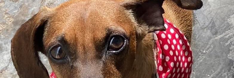 Frida_ez's profile banner image