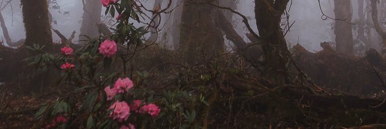 The_Amanda_'s profile banner image