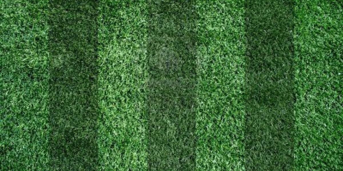 _EagleNation_'s profile banner image