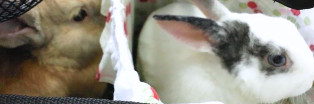 nitou7's profile banner image