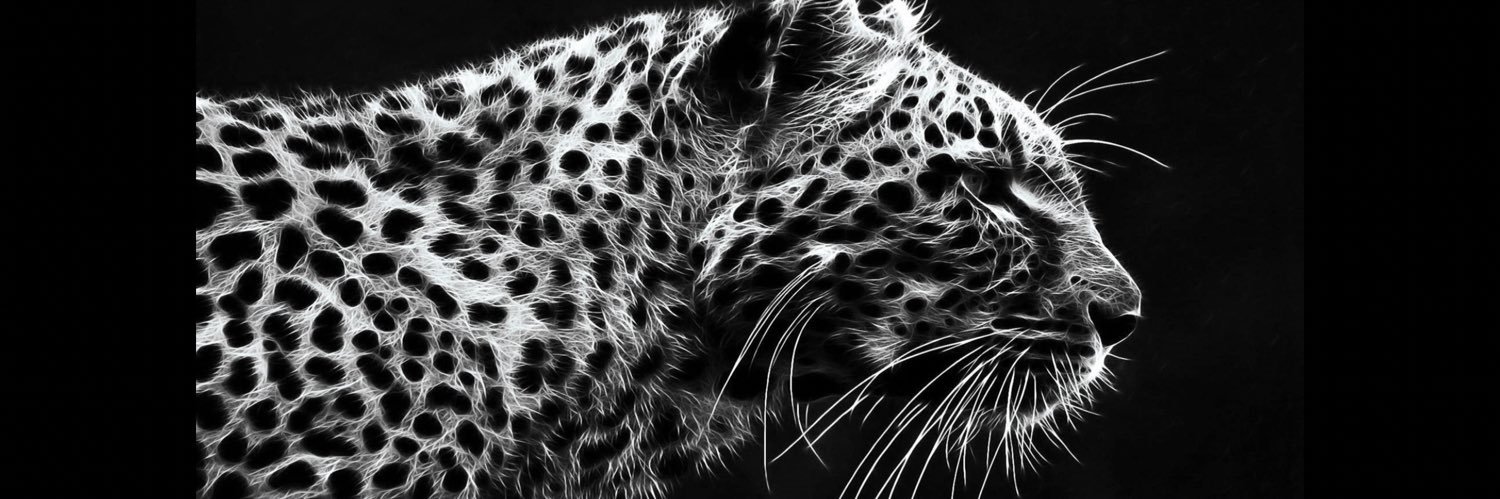 tgills24's profile banner image