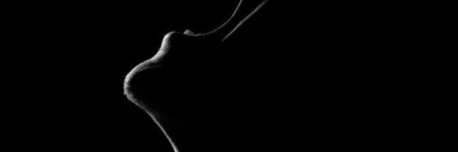 barbarosss25's profile banner image