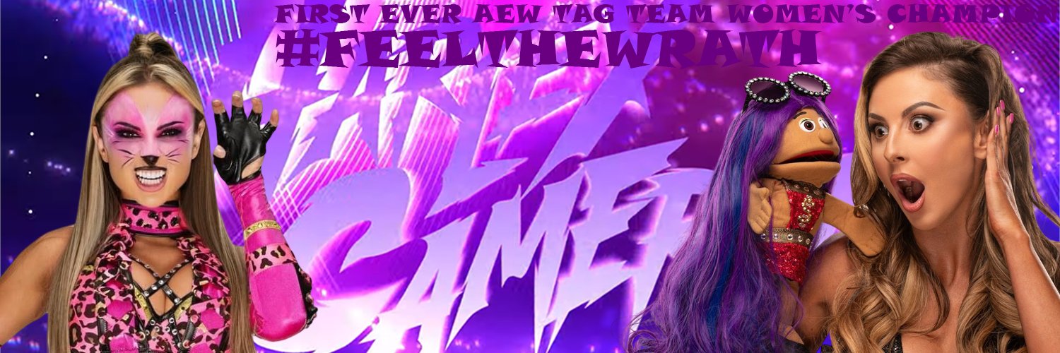 janic the hedgehog banner