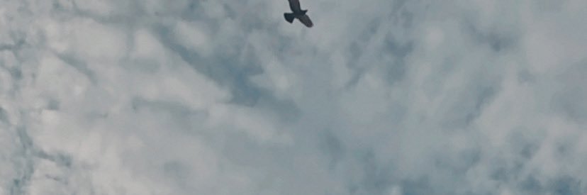 wit_pha3's profile banner image