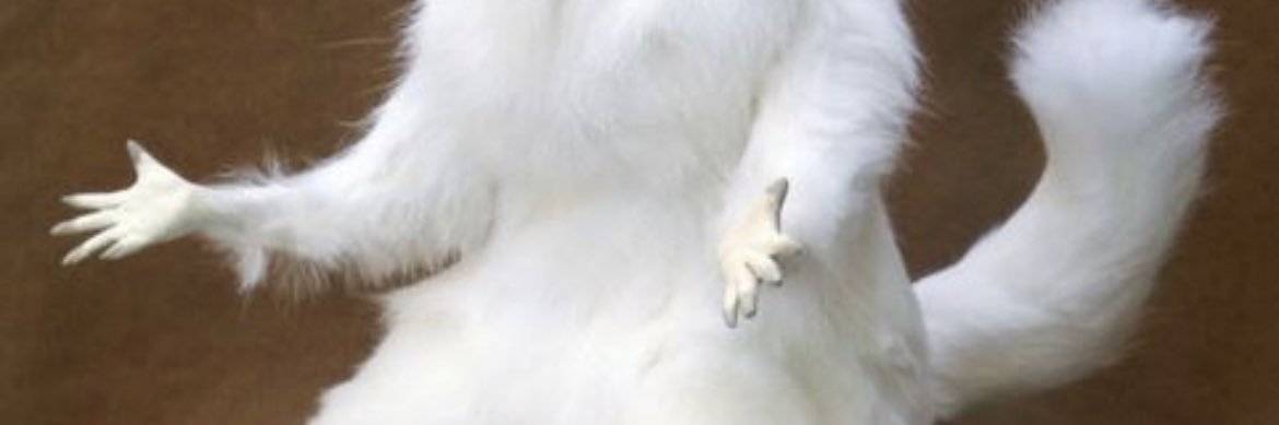 itsandee's profile banner image