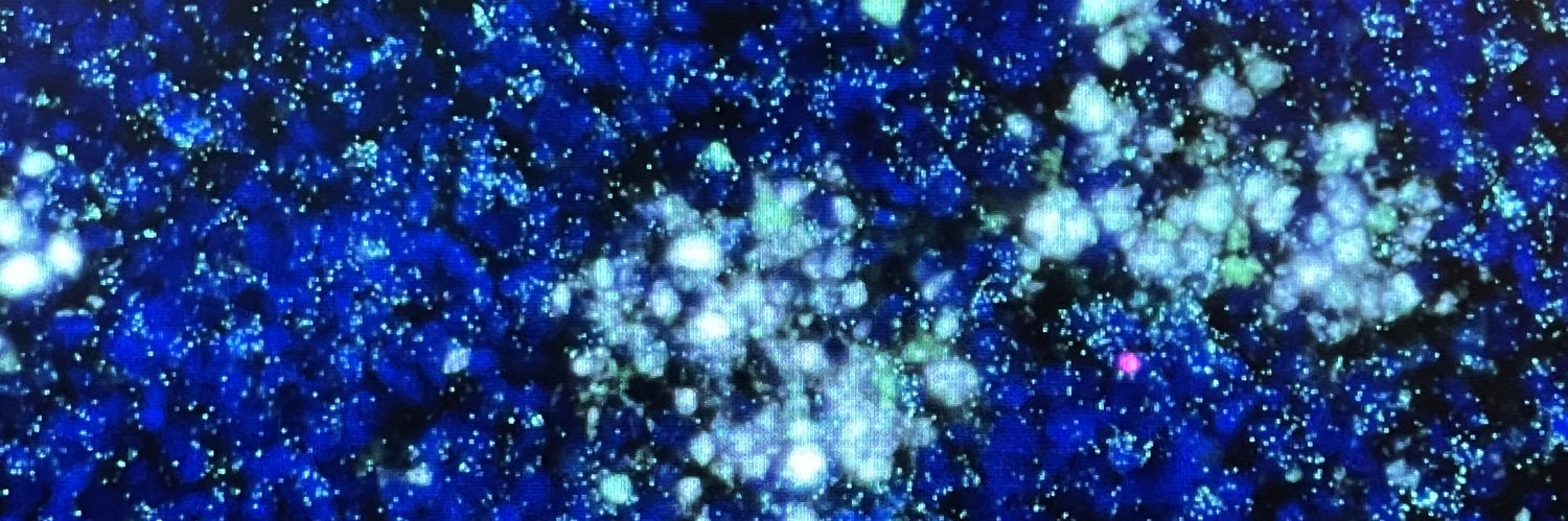 calmodulin148's profile banner image