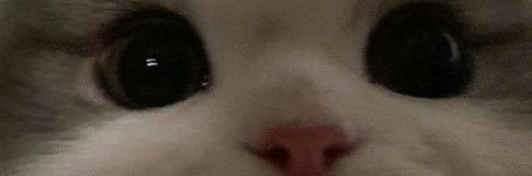 _barrios__'s profile banner image