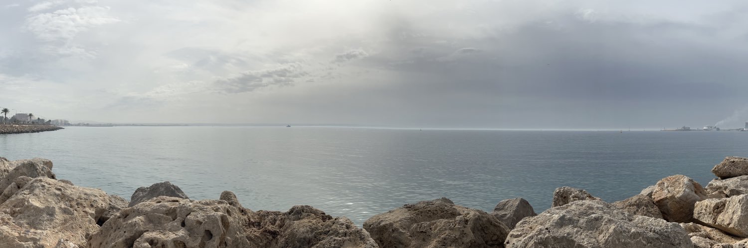 Ailsa Tweedie 🦻🏻🏳️‍🌈🏳️‍⚧️💜🏒 banner