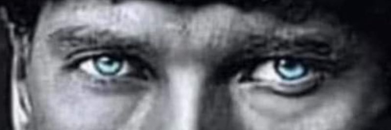 tarimalisveris's profile banner image