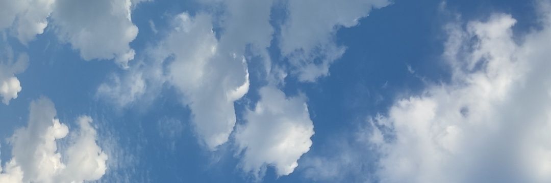 P1NGUMLG's profile banner image