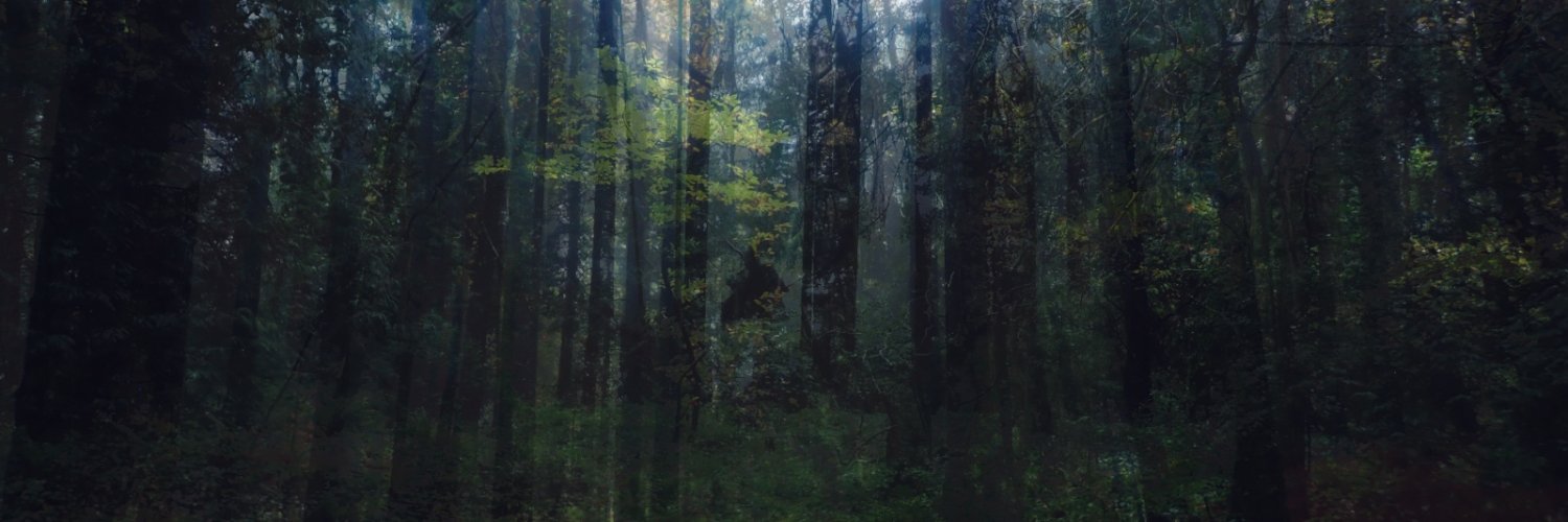 Monk_Po's profile banner image
