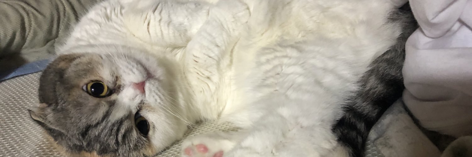 あベア@島根ジェイソン banner