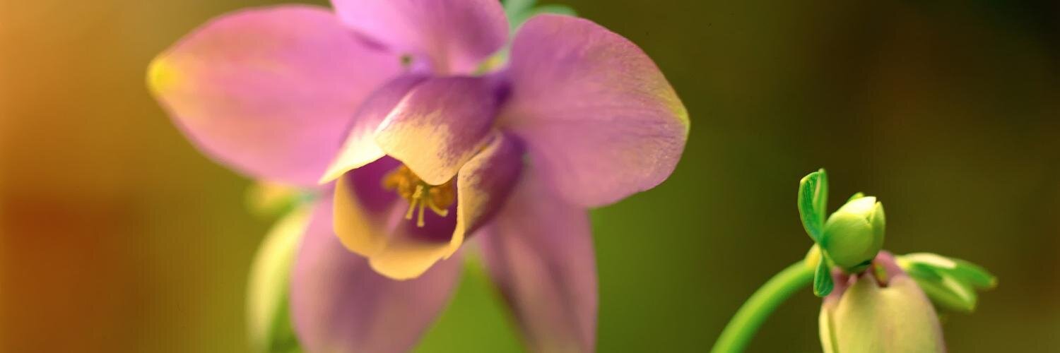 grandsarah37's profile banner image